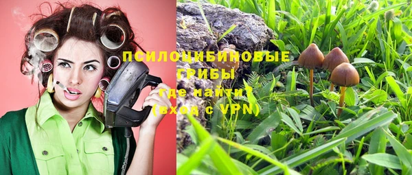бошки Баксан