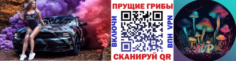 Галлюциногенные грибы Psilocybe  Усолье 